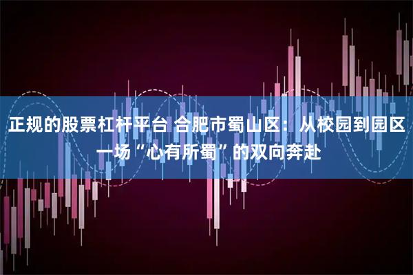 正规的股票杠杆平台 合肥市蜀山区：从校园到园区 一场“心有所蜀”的双向奔赴