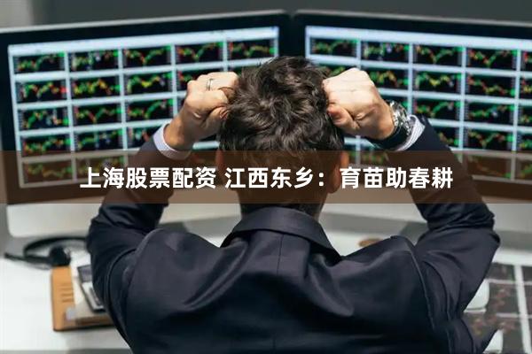 上海股票配资 江西东乡：育苗助春耕
